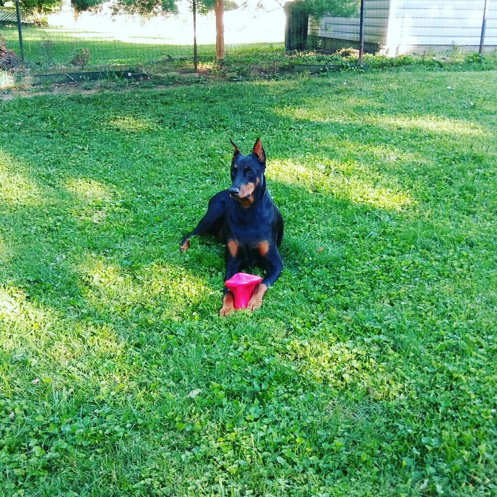 My baby charlie